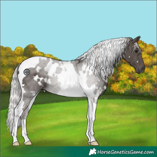 Horse Color:White Spotted Silver Black Tobiano Rabicano