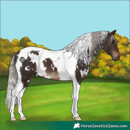 Horse Color:White Spotted Silver Brown Tobiano 
