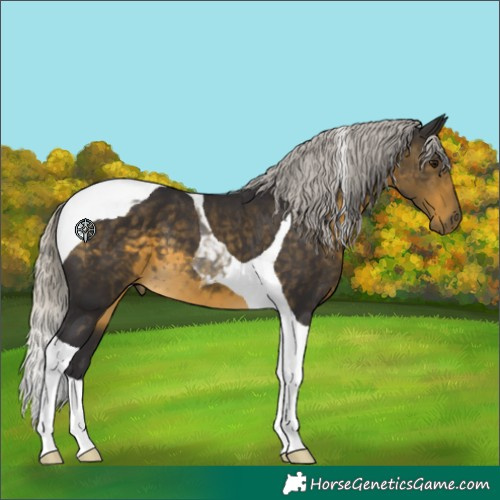 Horse Color:Silver Buckskin Tobiano