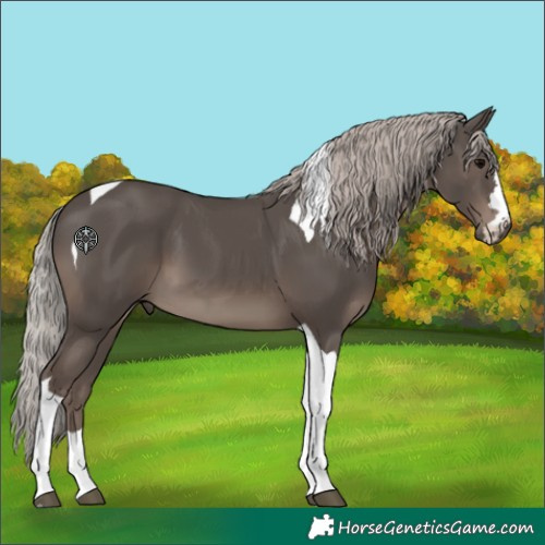 Horse Color:Silver Black Tobiano
