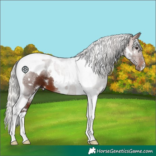 Horse Color:White Spotted Silver Brown Tobiano 