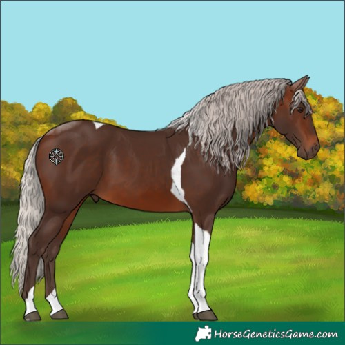 Horse Color:Silver Brown Tobiano 