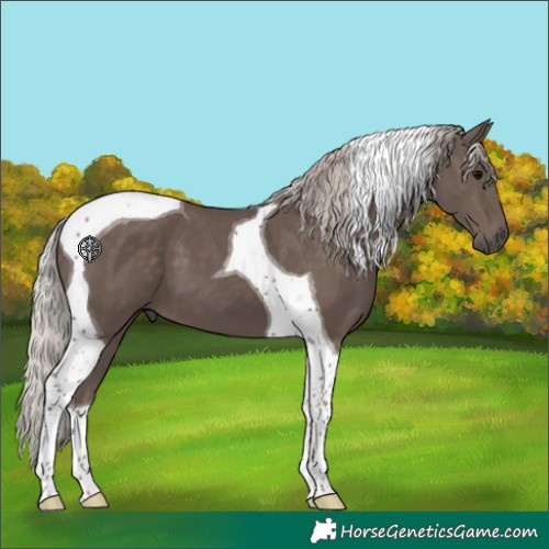 Horse Color:Silver Black Tobiano