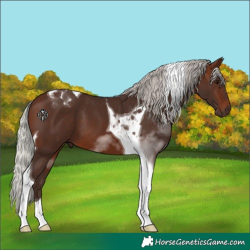 Horse Color:Silver Brown Tobiano 
