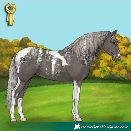 Horse Color:Powder White Silver Black Tobiano