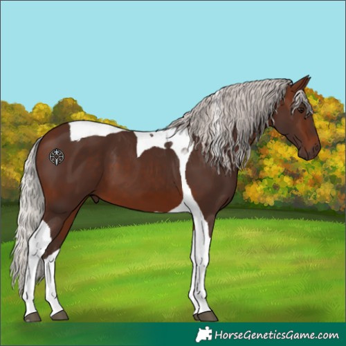 Horse Color:Silver Brown Tobiano 