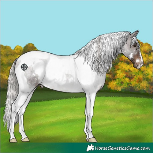 Horse Color:White Spotted Silver Brown Tobiano 