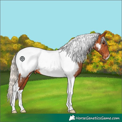 Horse Color:Silver Bay Tobiano Near Fewspot