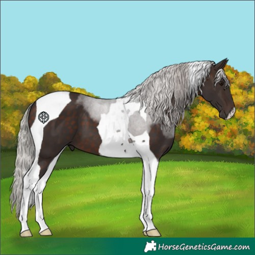Horse Color:Silver Brown Tobiano 