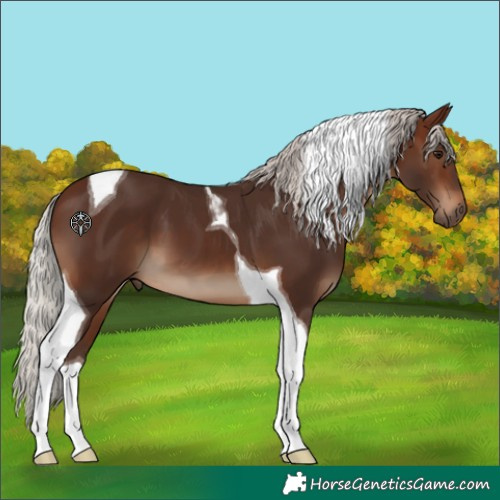 Horse Color:Silver Brown Tobiano