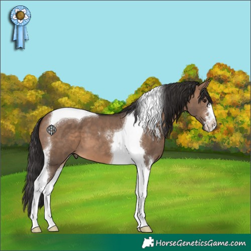Horse Color:Brown Dun Tobiano