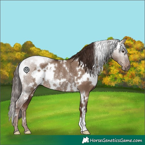 Horse Color:White Spotted Liver Red Dun Rabicano 
