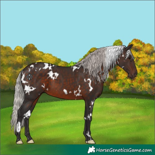 Horse Color:White Spotted Silver Brown