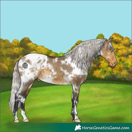 Horse Color:White Spotted Silver Buckskin Dun Blanket