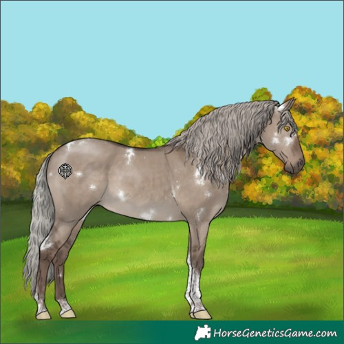 Horse Color:White Spotted Silver Grullo Tobiano Rabicano 