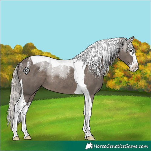 Horse Color:Powder White Silver Black Splash Tobiano 