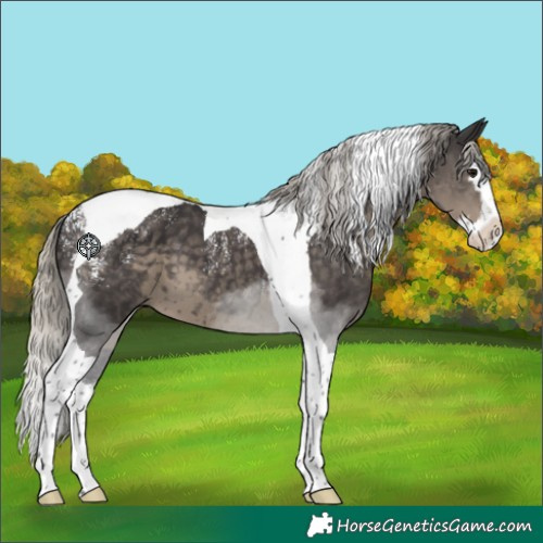 Horse Color:Powder White Silver Smoky Black Splash Tobiano 