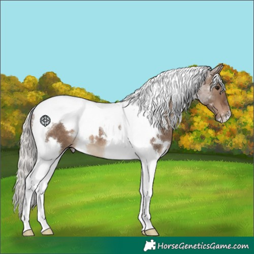 Horse Color:White Spotted Silver Brown Dun Tobiano 