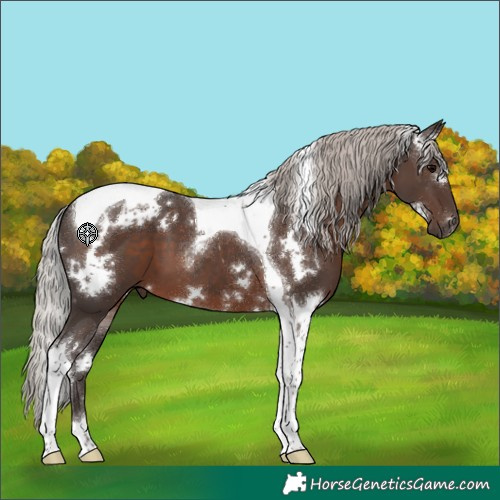 Horse Color:White Spotted Silver Black Tobiano 