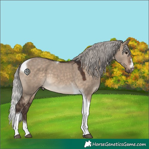Horse Color:Silver Brown Dun Tobiano
