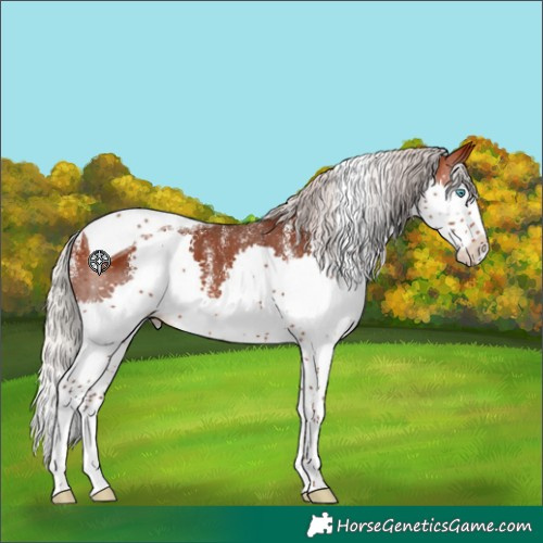 Horse Color:Powder White Silver Bay Splash Tobiano 
