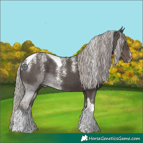 Horse Color:Powder White Silver Black Tobiano