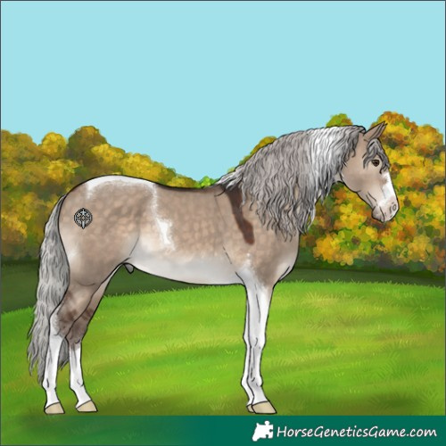 Horse Color:Silver Brown Dun Tobiano