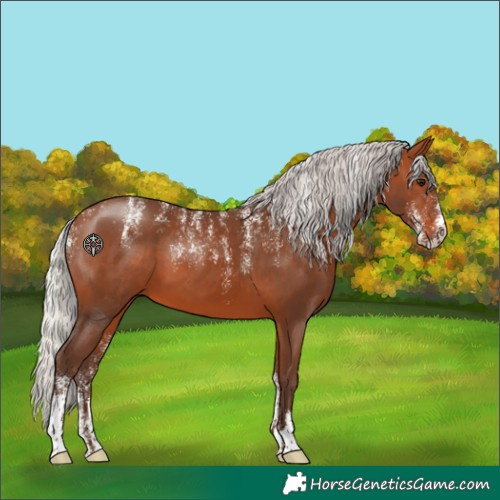 Horse Color:Powder White Silver Brown