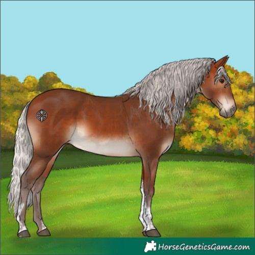 Horse Color:Silver Brown Tobiano Rabicano 