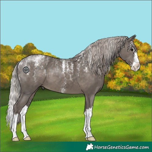 Horse Color:Powder White Silver Black Splash 