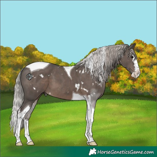 Horse Color:White Spotted Silver Black Splash Tobiano