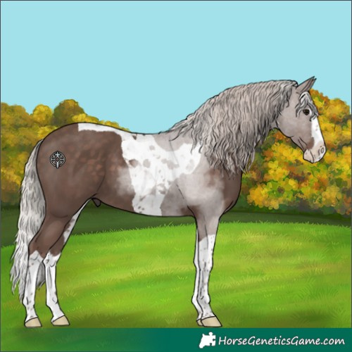 Horse Color:Silver Black Splash Tobiano 