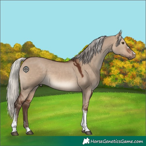 Horse Color:Silver Brown Dun Tobiano 