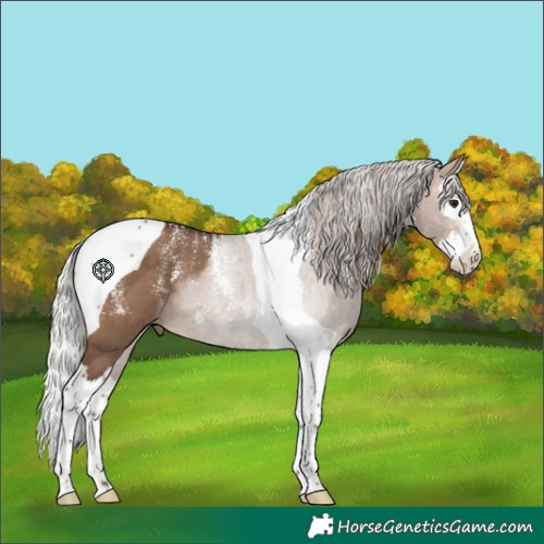 Horse Color:Powder White Silver Brown Dun Splash Tobiano 
