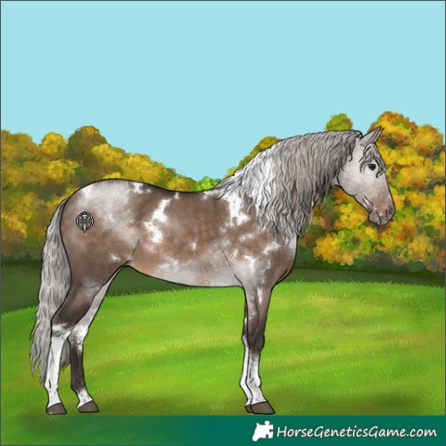Horse Color:White Spotted Silver Brown Dun Tobiano