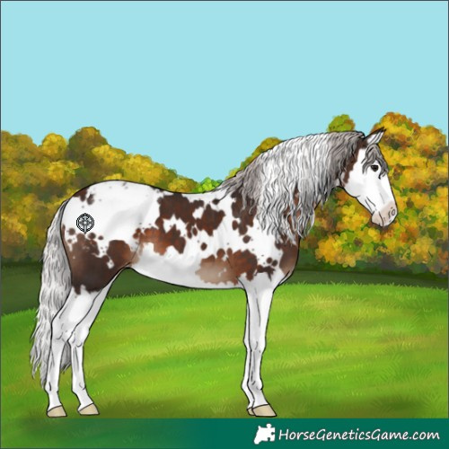 Horse Color:White Spotted Silver Brown Splash Blanket 