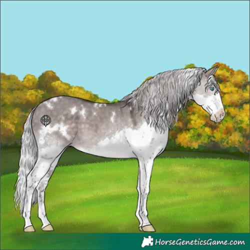 Horse Color:Platinum White Spotted Silver Brown Dun Splash