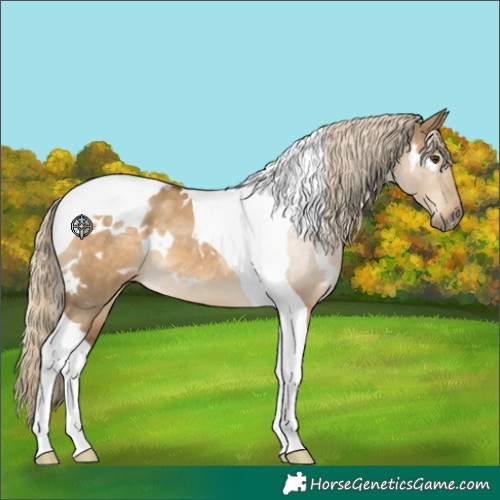 Horse Color:White Spotted Chocolate Palomino Dun Tobiano 