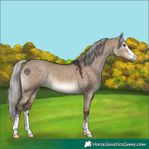 Horse Color:Silver Brown Dun