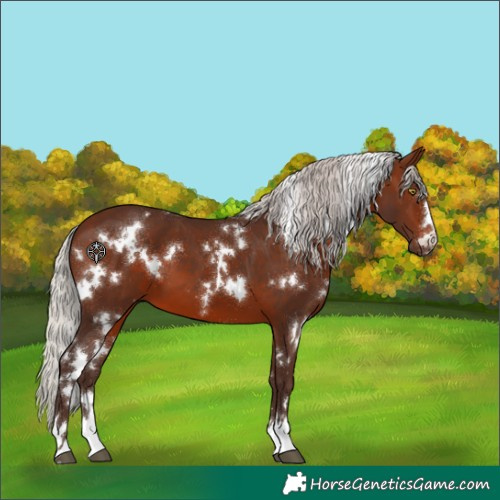 Horse Color:White Spotted Silver Brown 