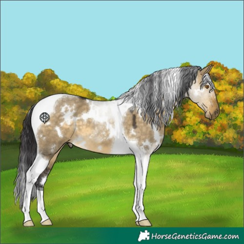 Horse Color:White Spotted Buckskin Dun Tobiano 