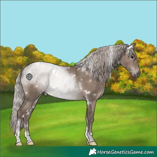 Horse Color:White Spotted Silver Grullo Tobiano Rabicano