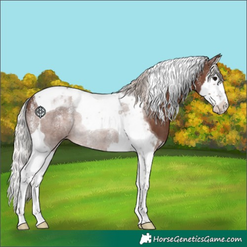 Horse Color:Powder White Silver Black Splash Tobiano Rabicano 