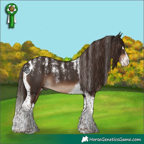 Horse Color:Powder White Liver Chestnut Splash Tobiano