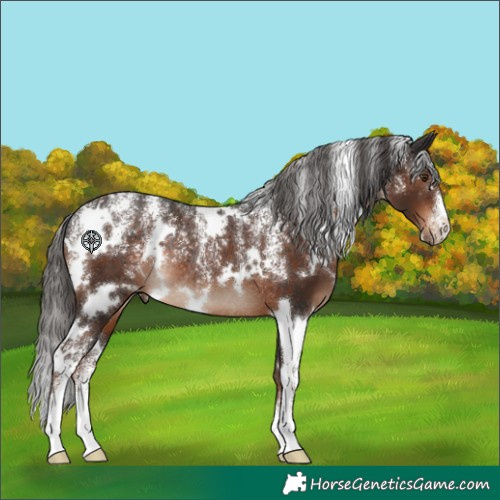Horse Color:Powder White White Spotted Liver Chestnut Rabicano 