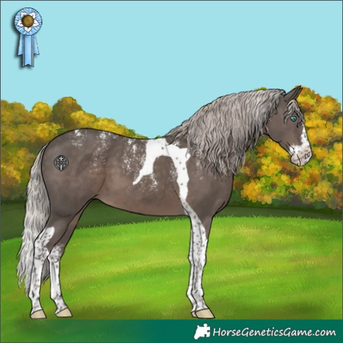 Horse Color:Powder White Silver Black Splash Tobiano 