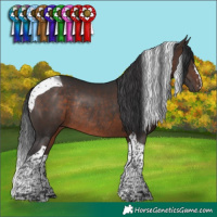 Horse Color:Brown Tobiano Rabicano