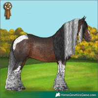 Horse Color:Brown Tobiano Rabicano