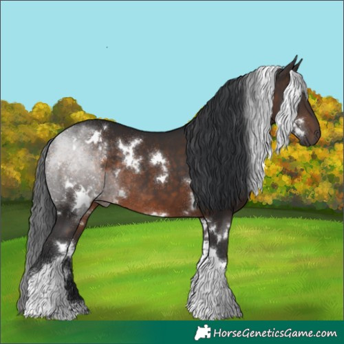 Horse Color:White Spotted Brown Tobiano Rabicano