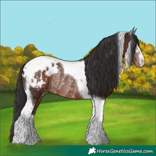 Horse Color:Liver Chestnut Tobiano Blanket Rabicano 
